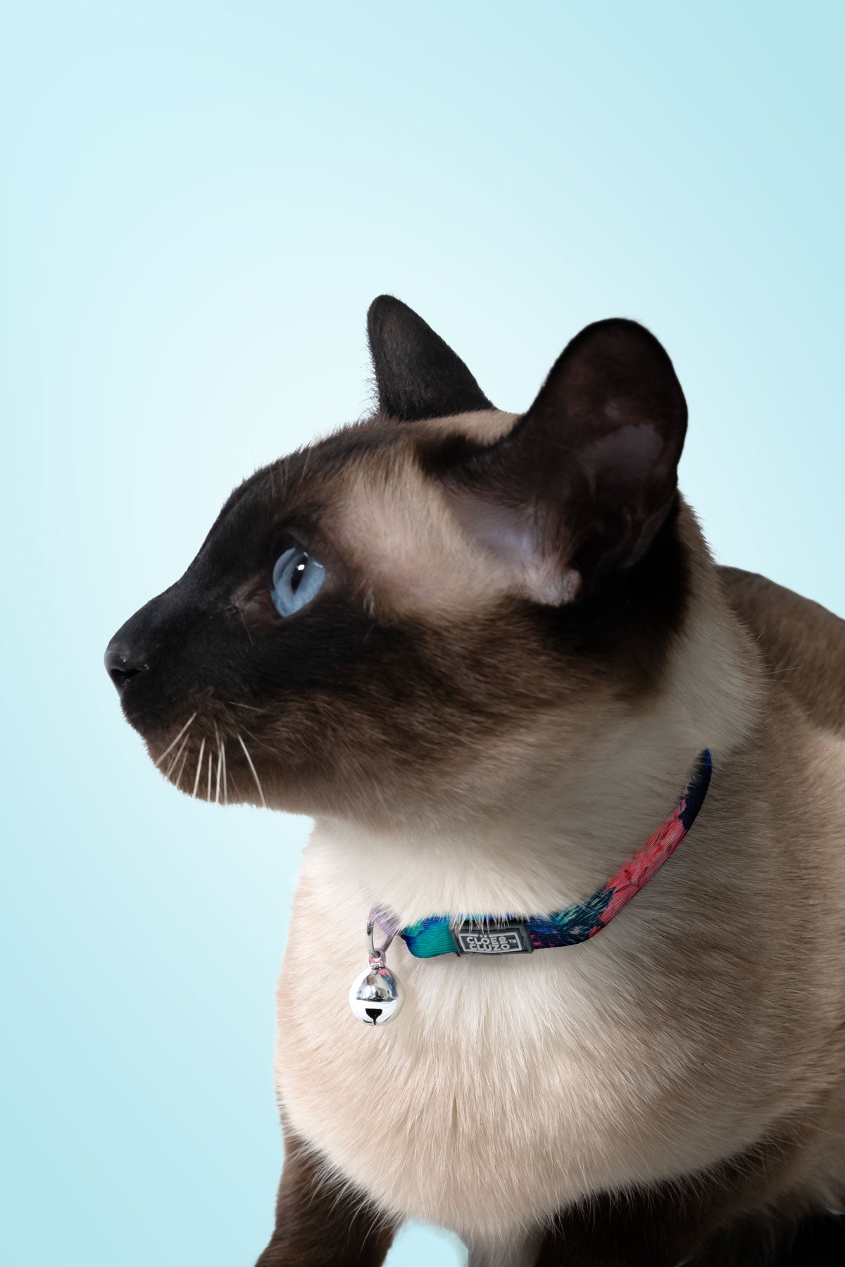 Adjustable Printed Cat Collar