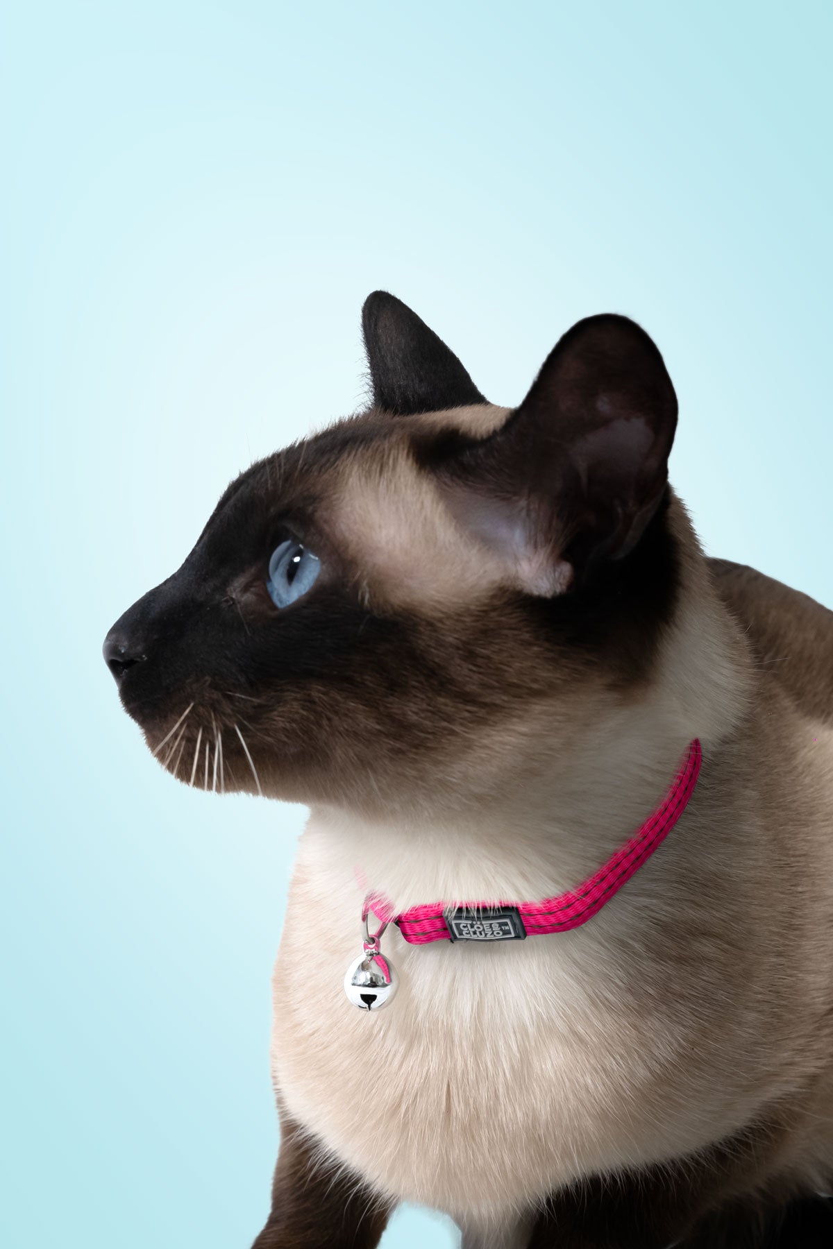 Vibrant Reflective Cat Collar