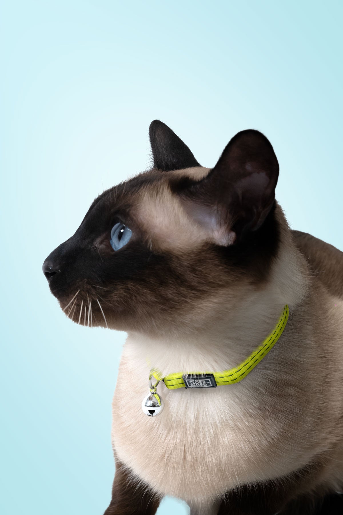 Vibrant Reflective Cat Collar