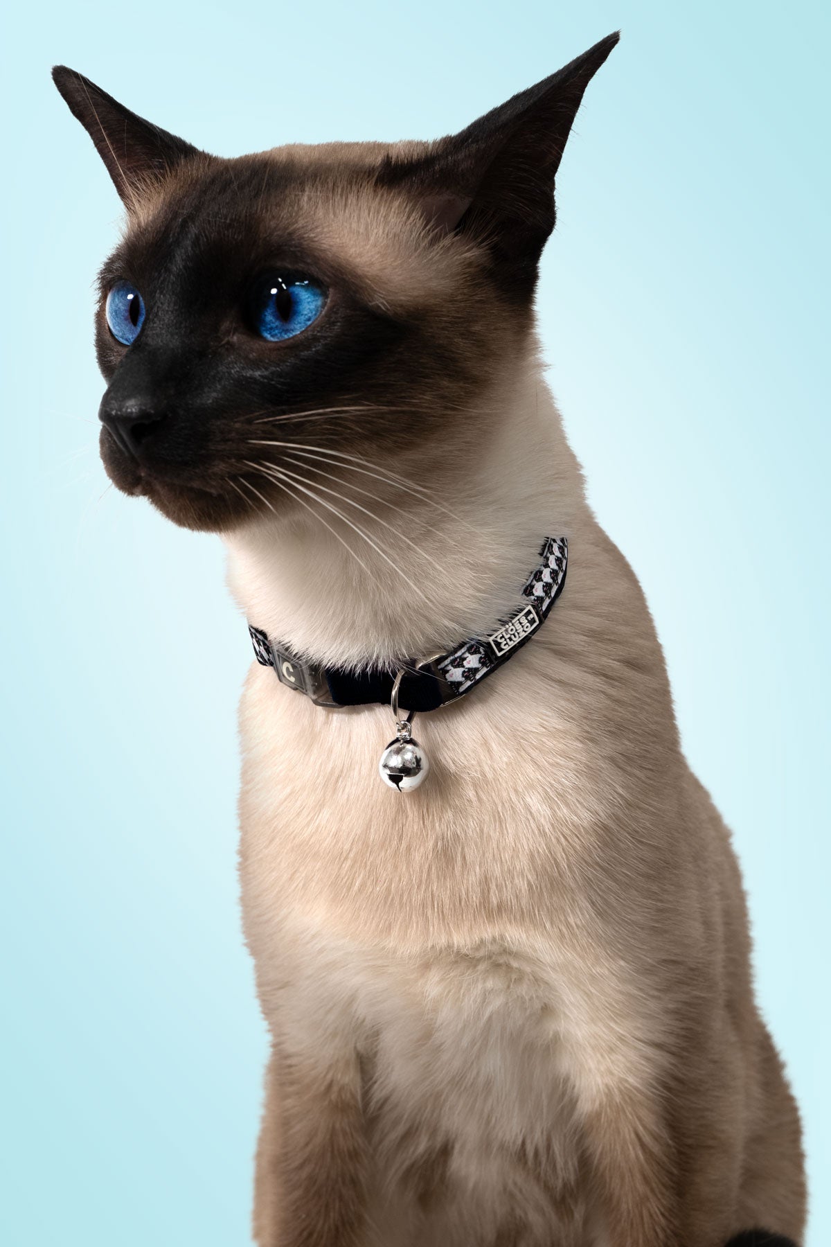 Designer Cat Collar