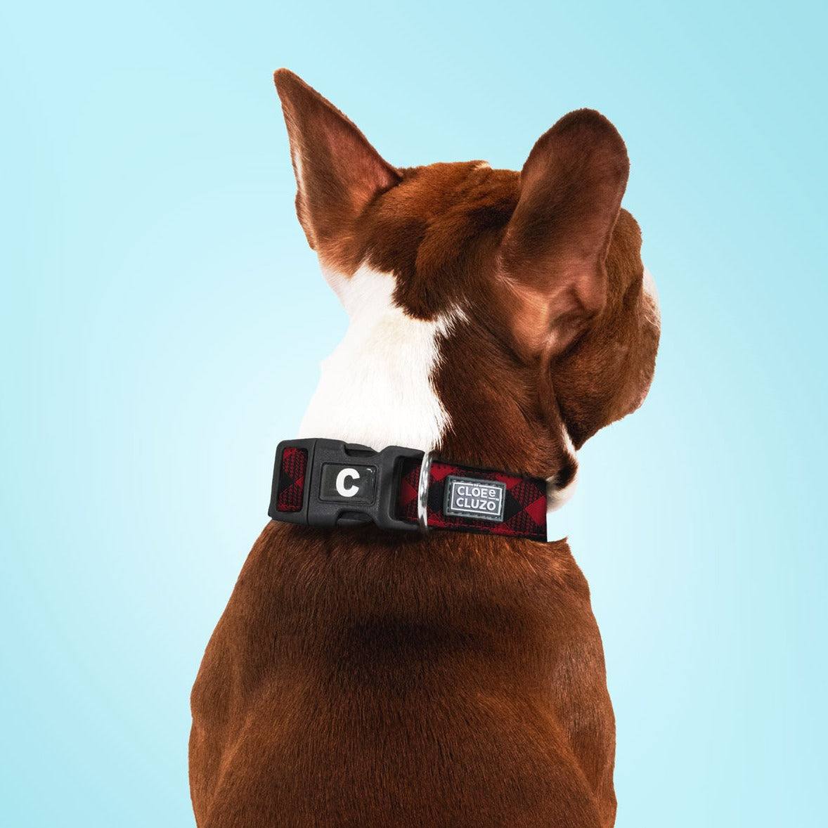 Collier pour chien imprimé à carreaux rouges