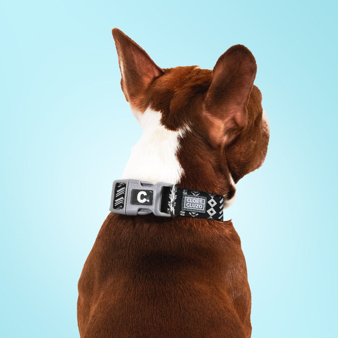 Adjustable Printed Dog Collar