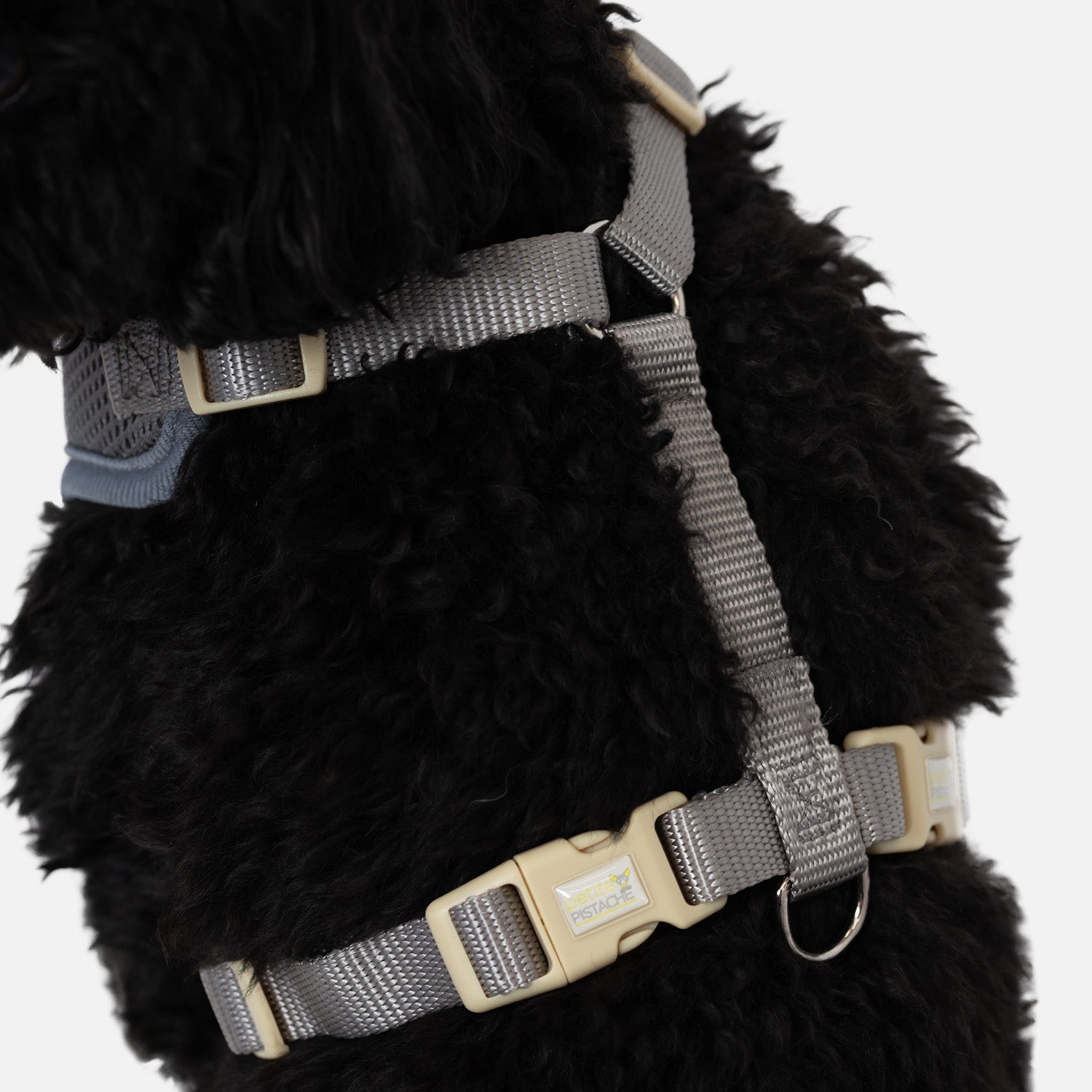 Petite Pistache Mesh Harness for Very Small Dogs