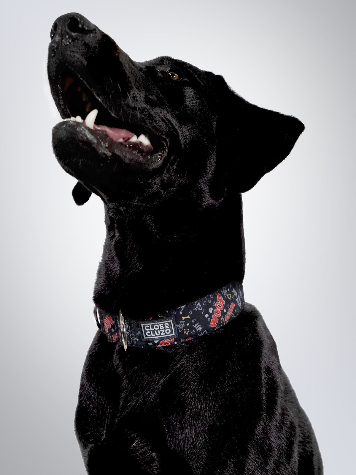 Collier pour chien réglable Martingale