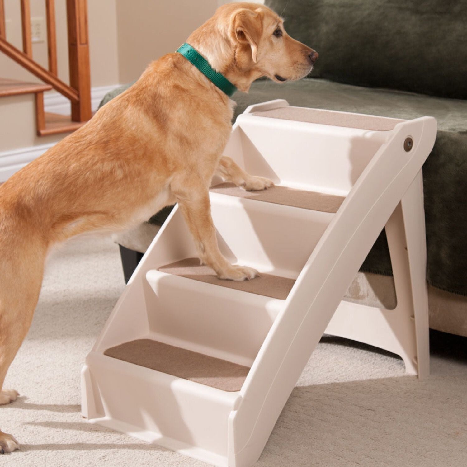 Pupstep plus pet stairs best sale