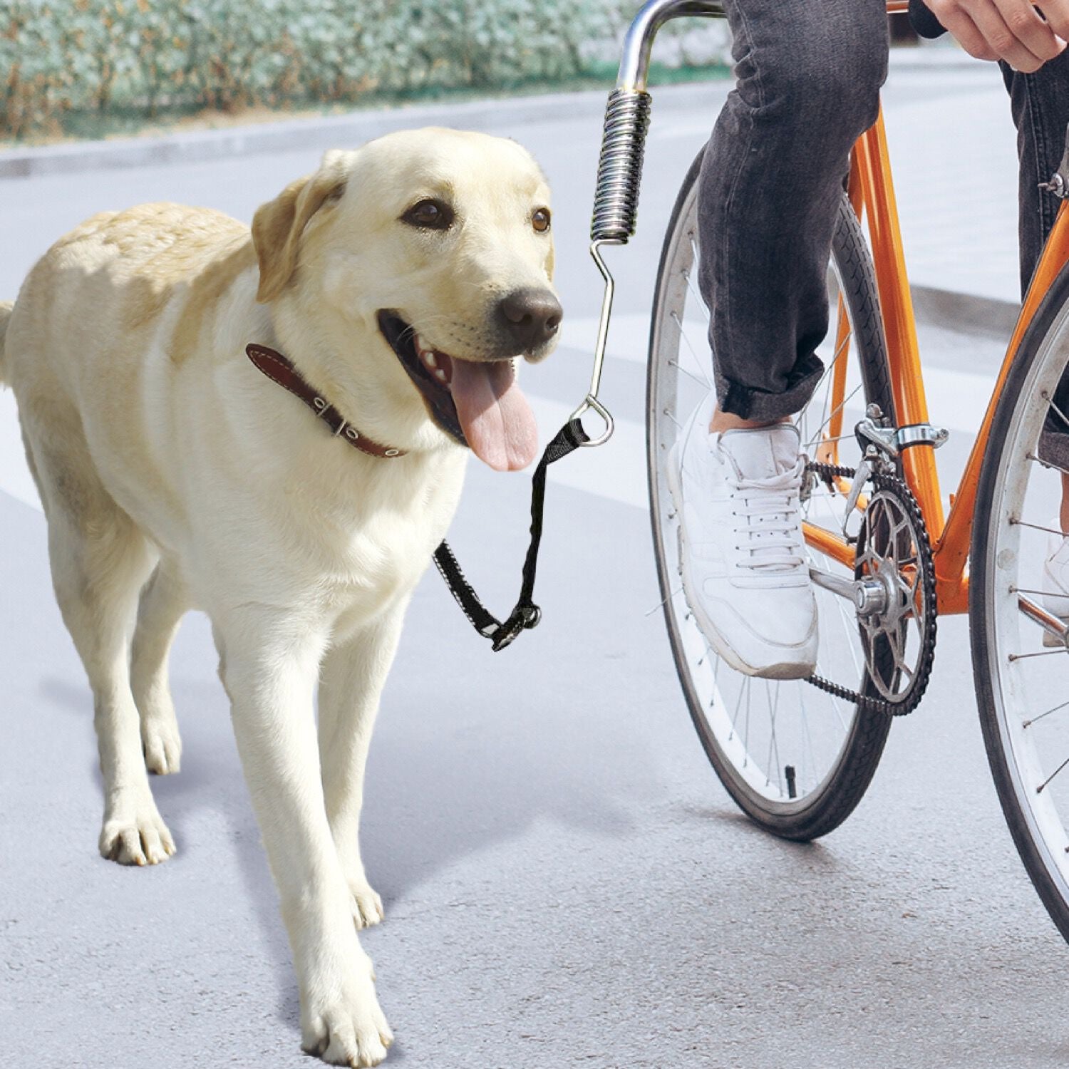 Adjustable Hands Free Bike Leash